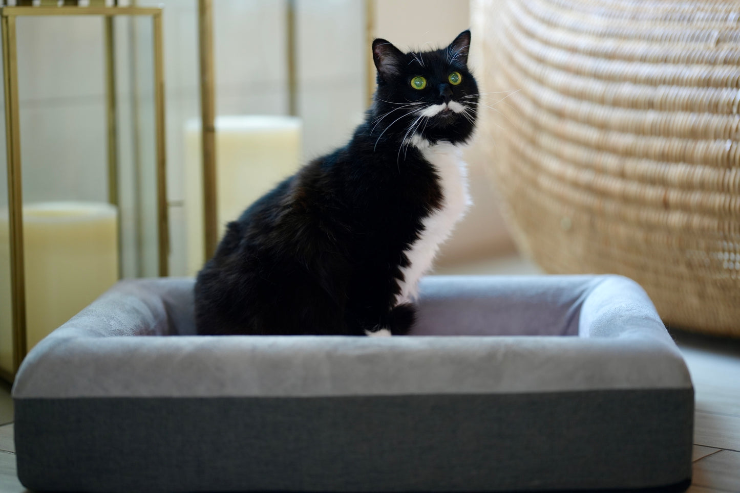 The Boujee Pet Bed
