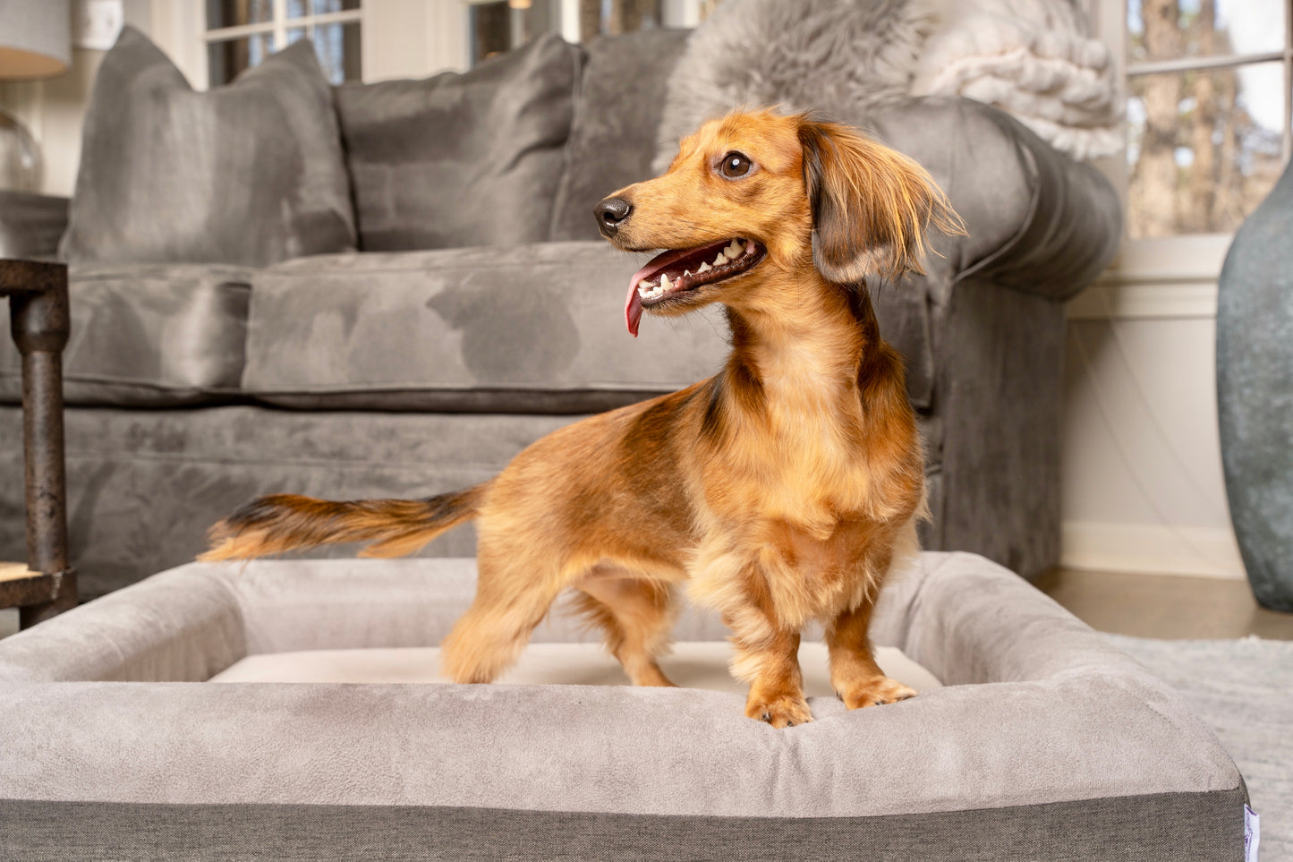 The Boujee Pet Bed