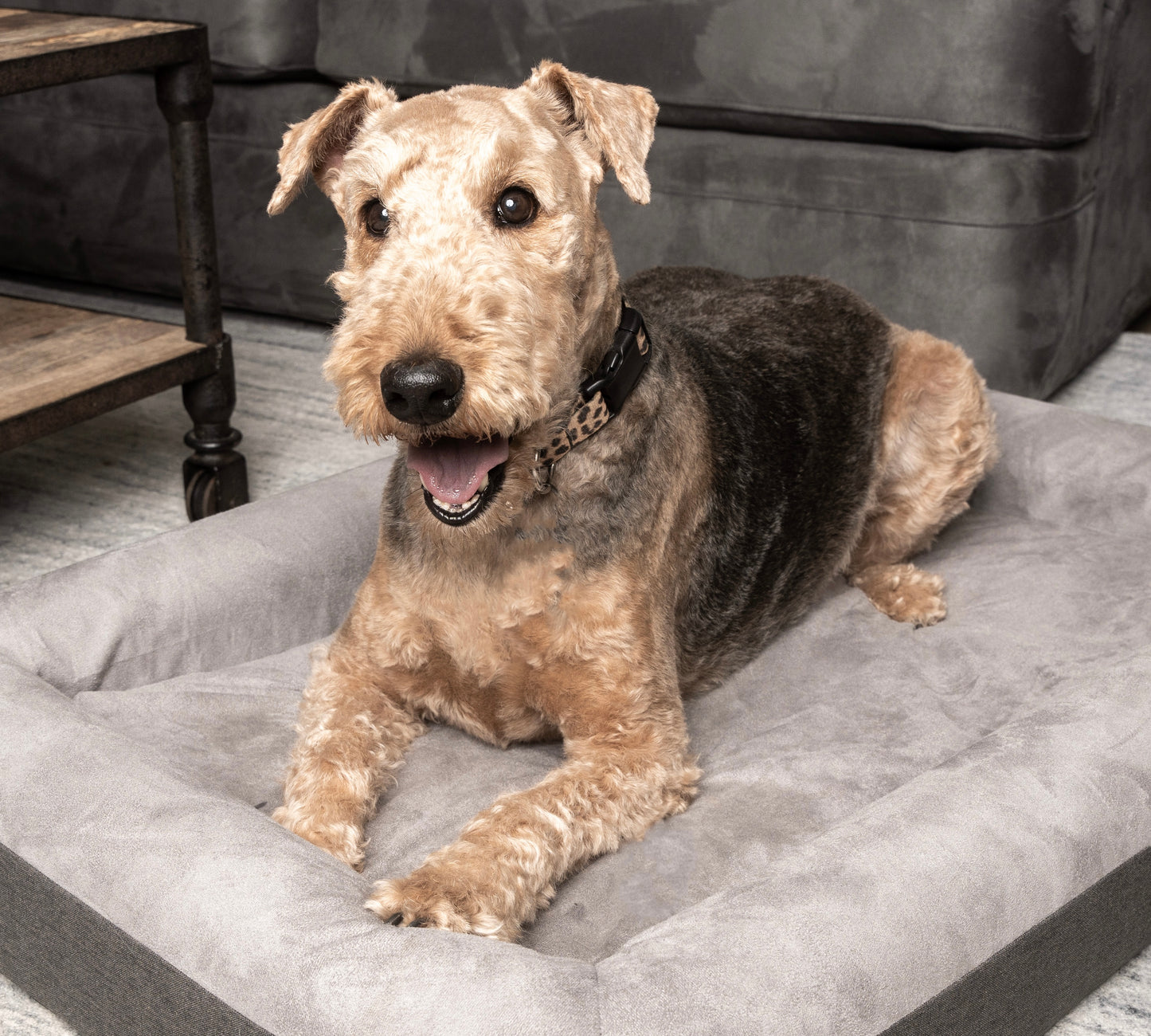 The Boujee Pet Bed