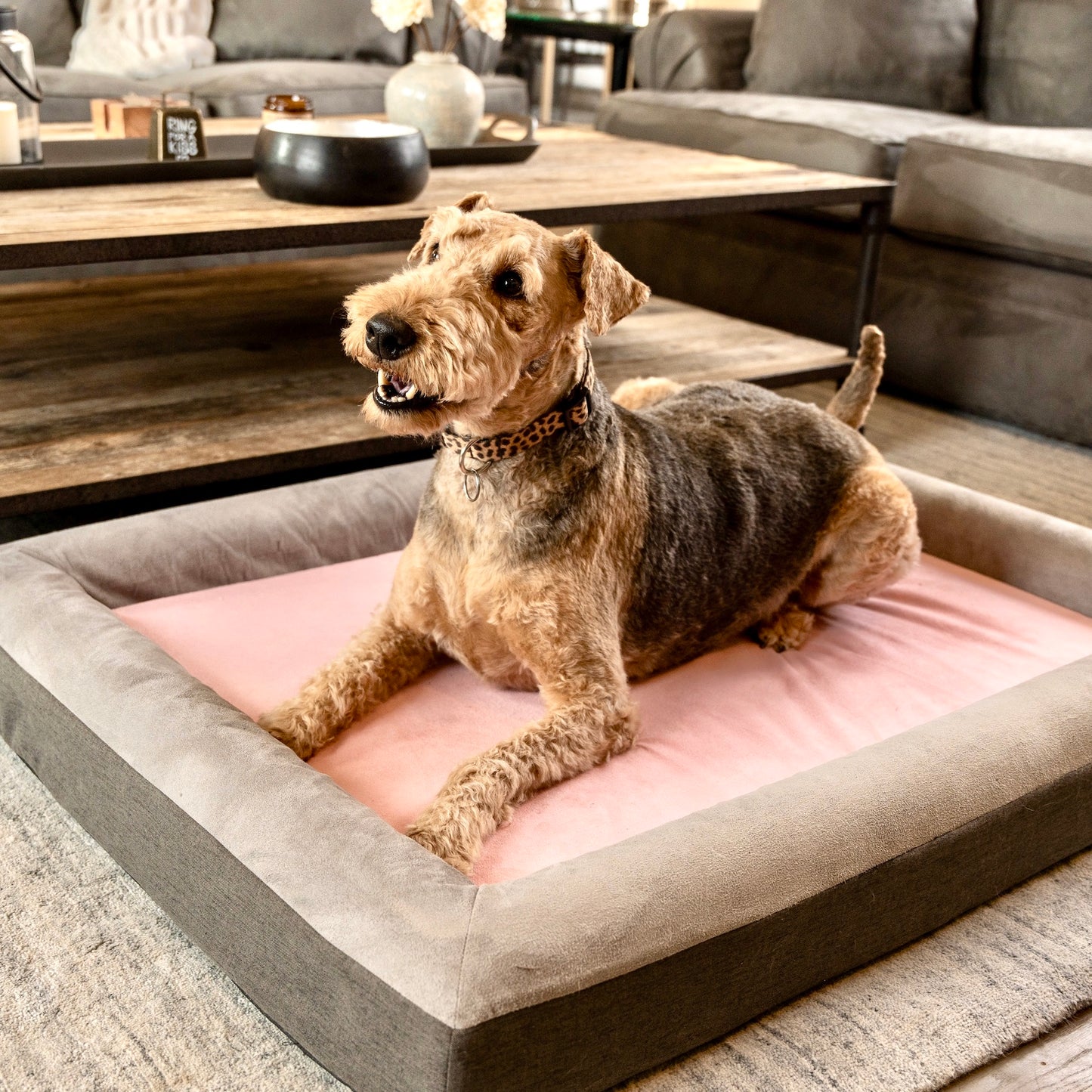 The Boujee Pet Company