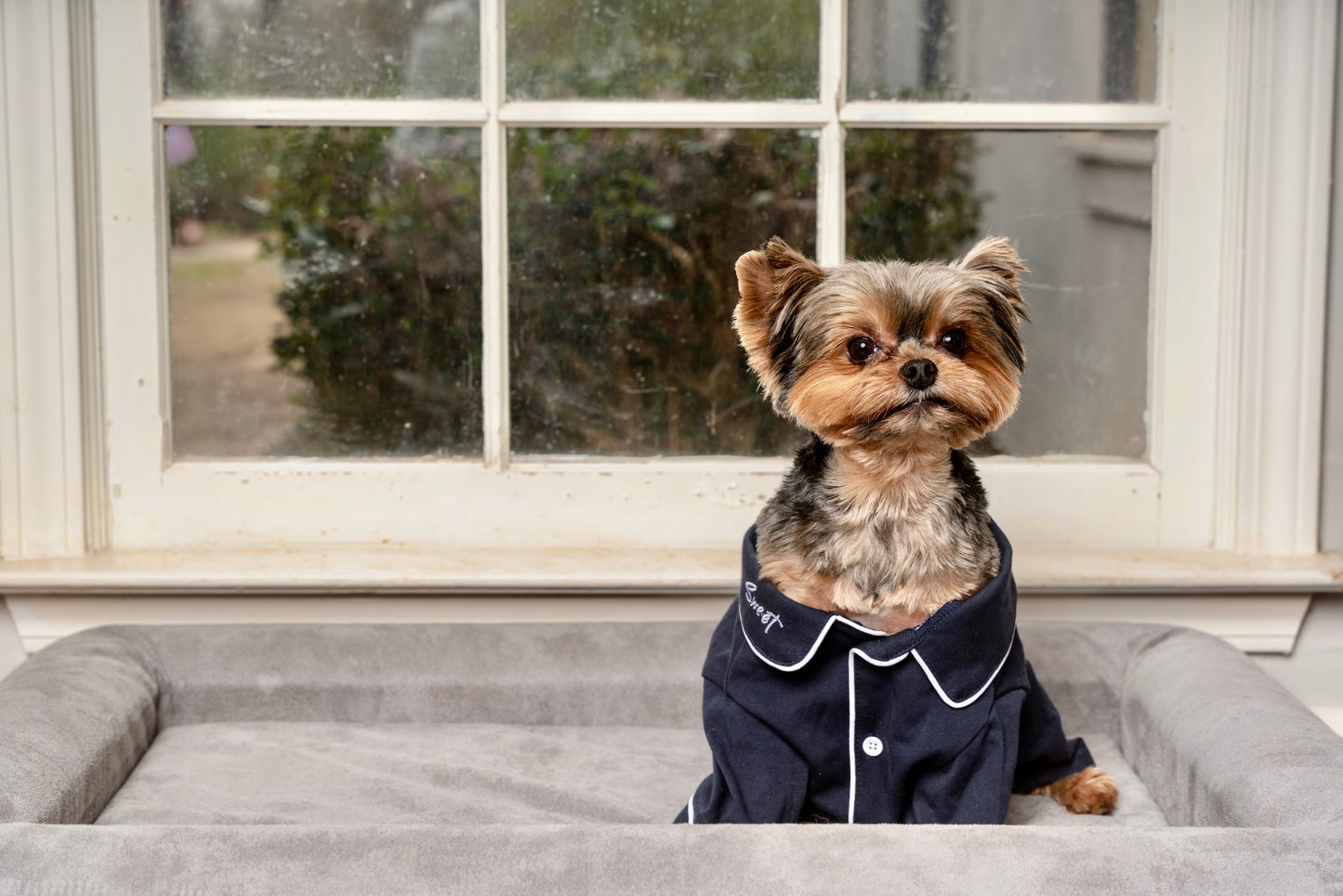 The Boujee Pet Bed