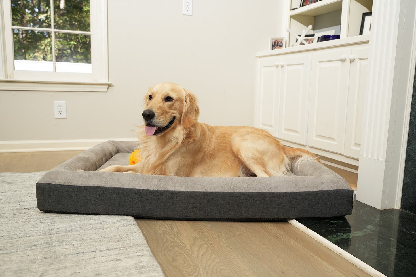 The Boujee Pet Bed
