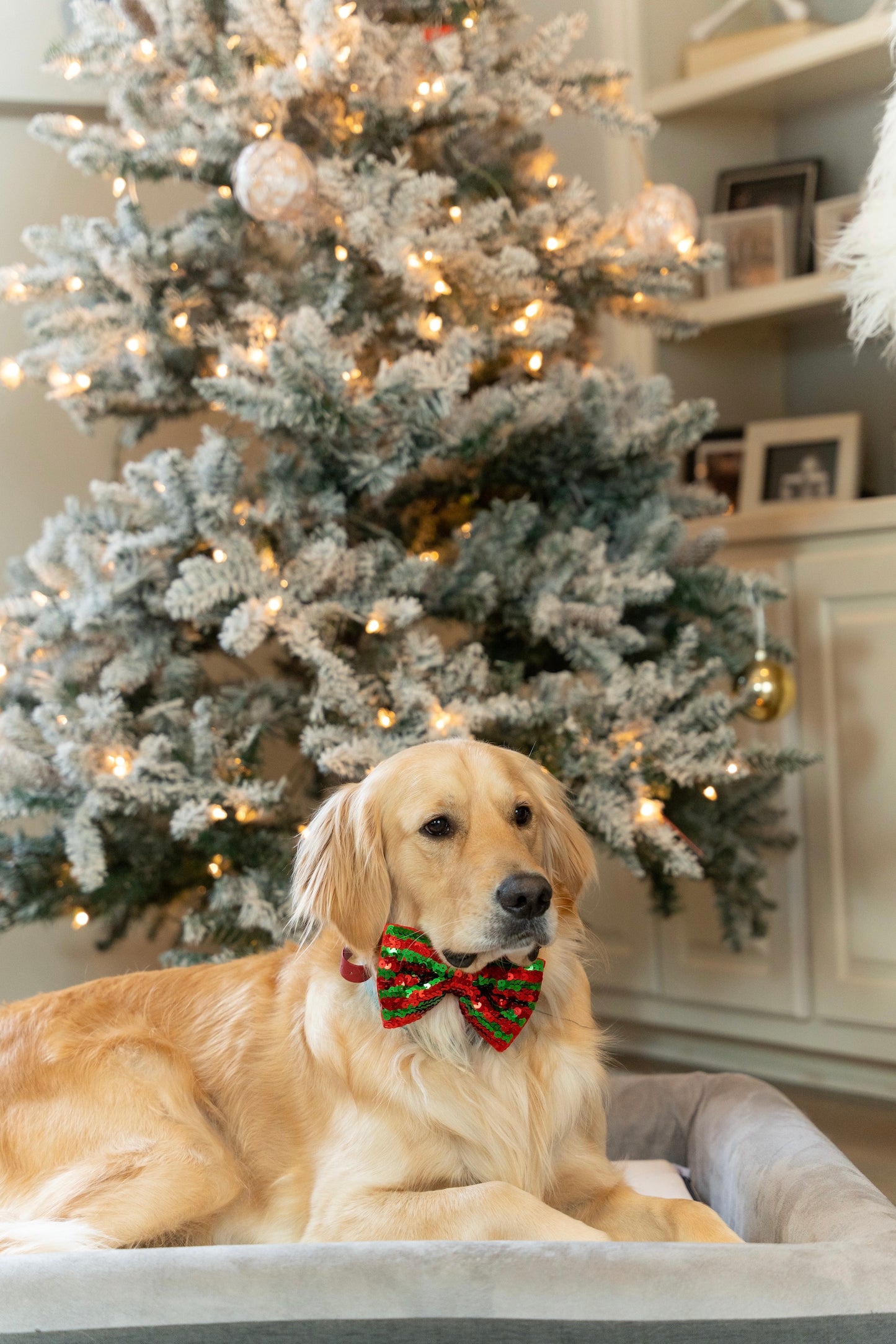 Happy Holidays!
