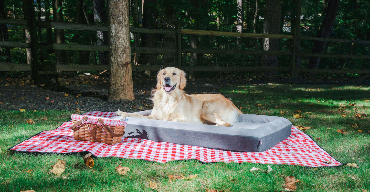 Spring Fling: Tito's Golden Retriever Adventure with Boujee Beds