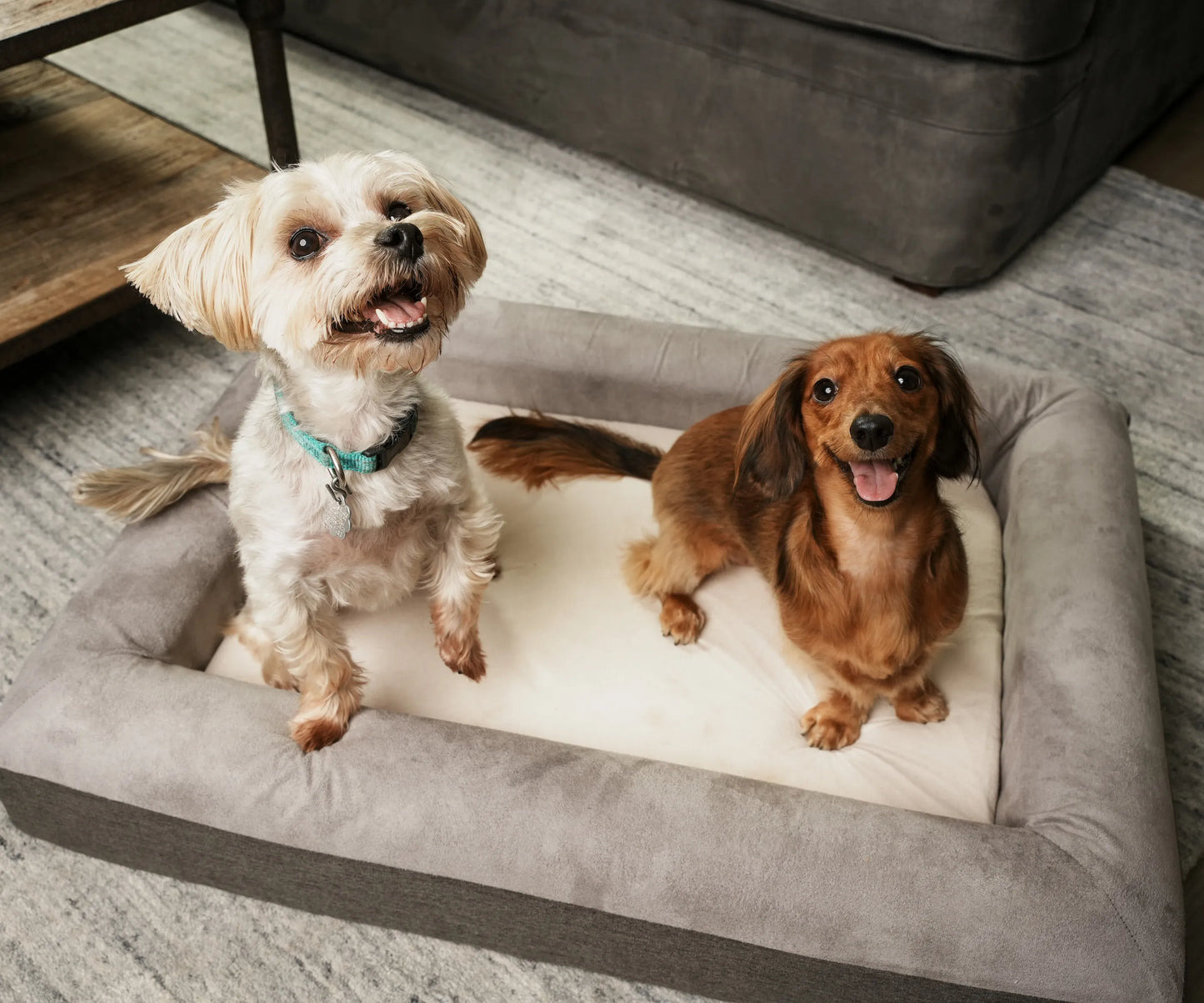 Pets resting on The Boujee Pet Bed - Orthopedic Memory Foam with Washable Cover