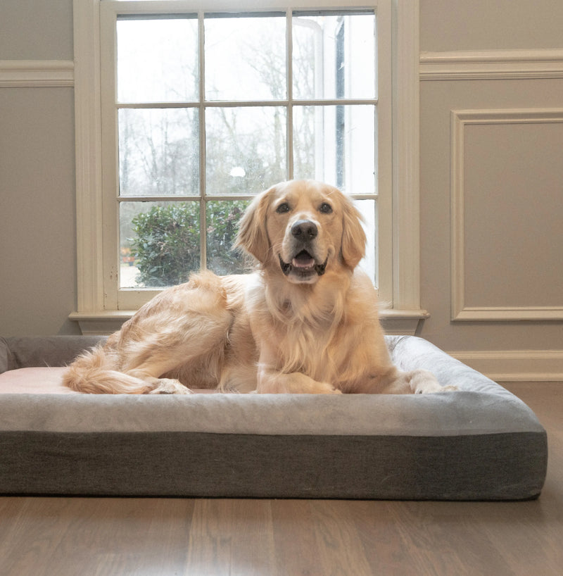 The Boujee Pet Bed - Orthopedic Memory Foam with Washable Cover