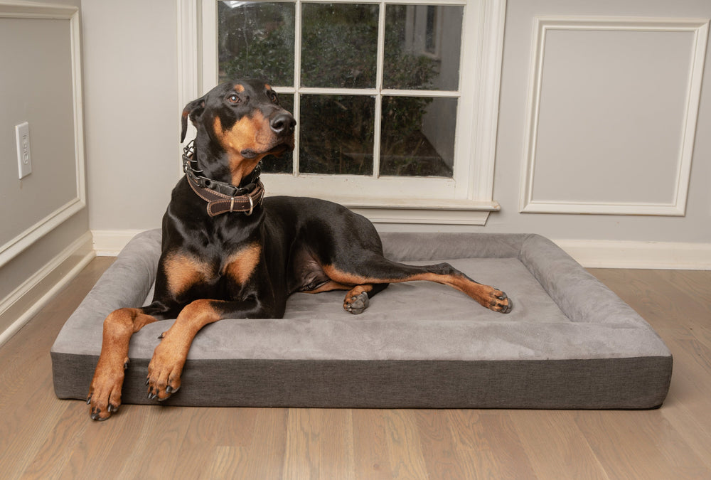 The Boujee Pet Company