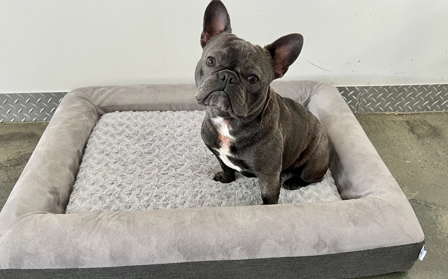 
                  
                    The Boujee Bundle - Orthopedic Pet Bed with Coverlets and Cozy Blanket
                  
                